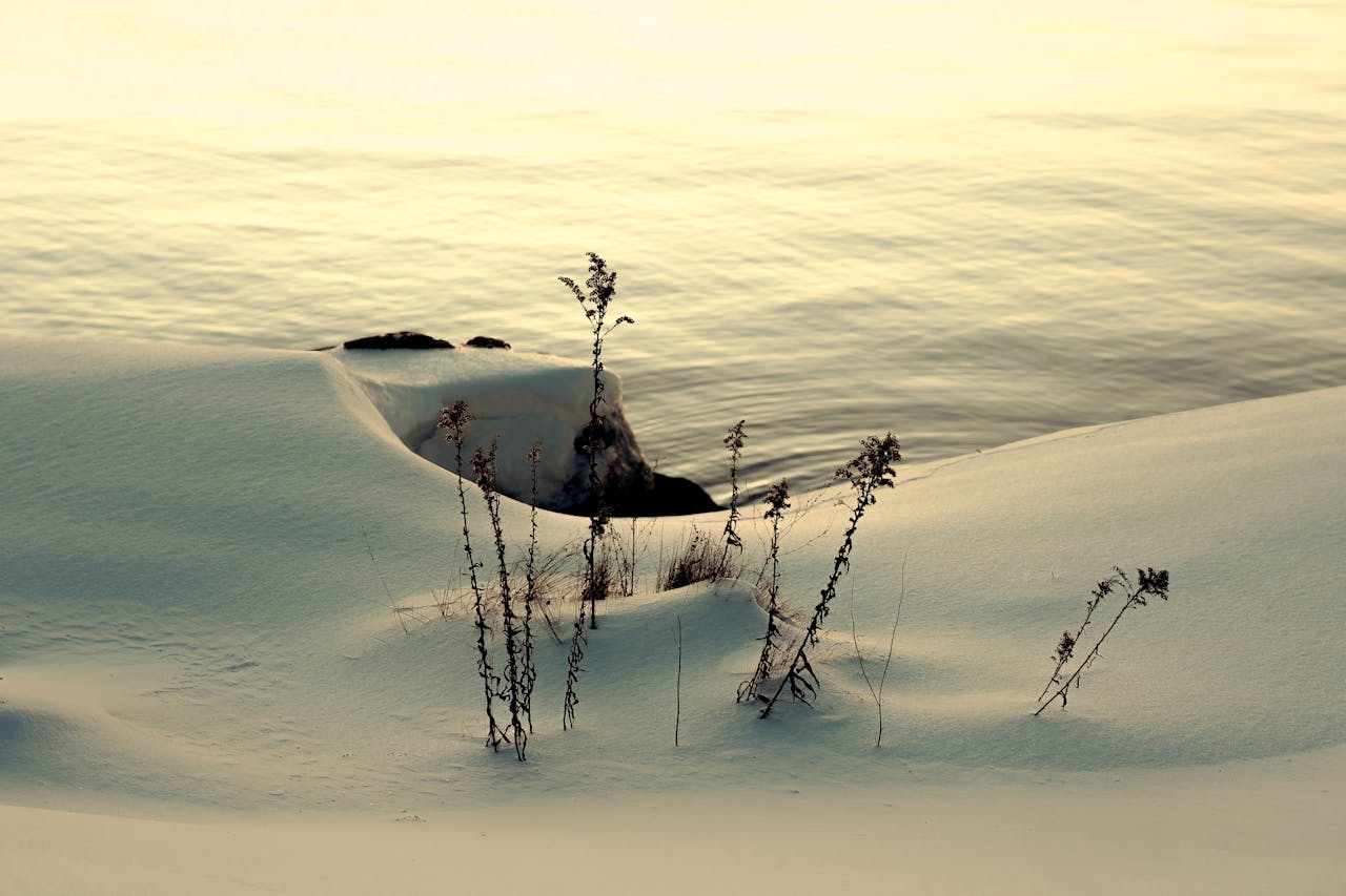 Free stock photo of connecticut, cove island park, dawn